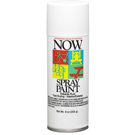 Krylon 9 Oz Wrought Iron White NOW Enamel Spray Paint 21215